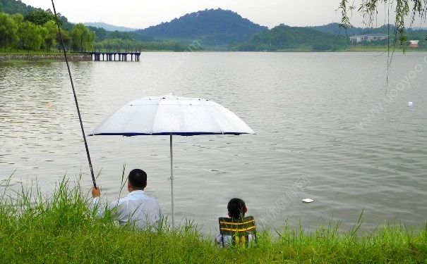 下雨天有鱼钓吗？夏季大雨天钓鱼好吗？(2)