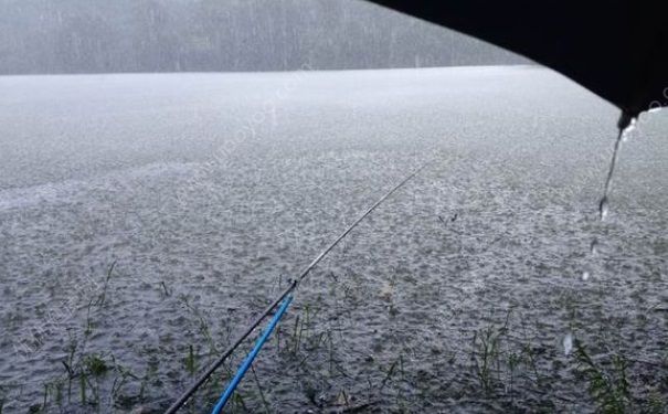 下雨天有鱼钓吗？夏季大雨天钓鱼好吗？(1)