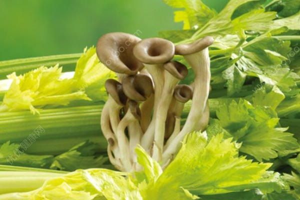 怎样才能让皮肤变白？让皮肤变白的方法(2)