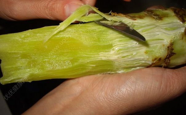 莴笋去皮吗？莴笋去皮方法(2)