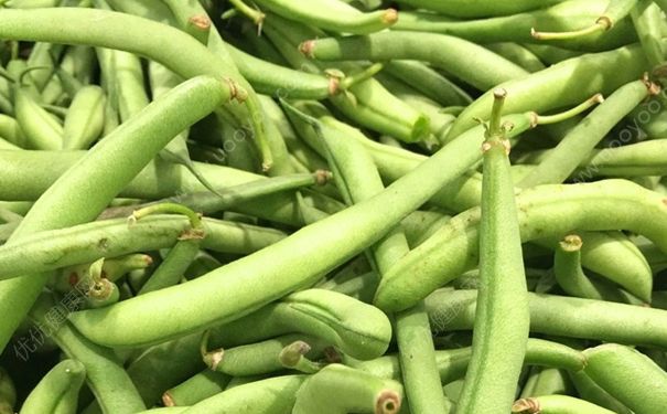 四季豆没熟吃了会中毒吗？四季豆没熟能吃吗？[多图]