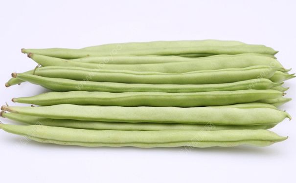 四季豆和南瓜能一起吃吗？南瓜和四季豆同食好不好？[多