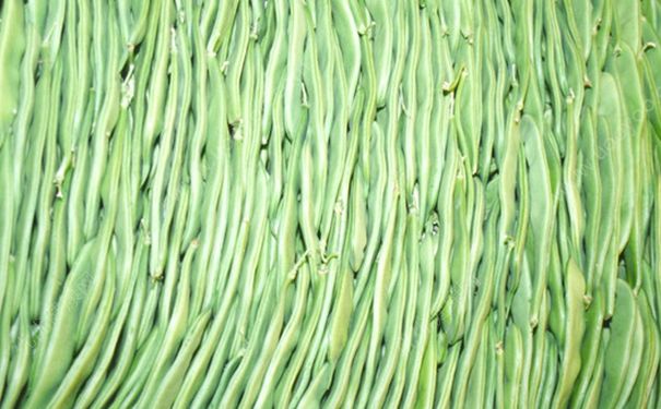 四季豆和香菇能一起吃吗？香菇和四季同食好吗？[多图]