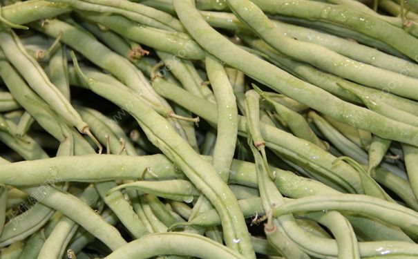 四季豆和番茄能一起吃吗？西红柿和四季豆同食好吗？[多