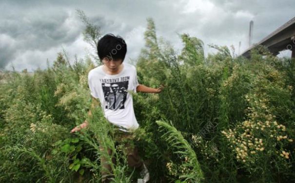 少年网上直播自杀 青少年自杀的心理原因(3)