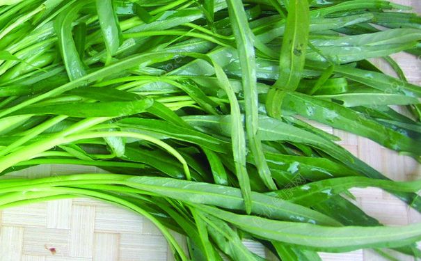 空心菜叶子可以吃吗？空心菜叶子能吃吗？[多图]