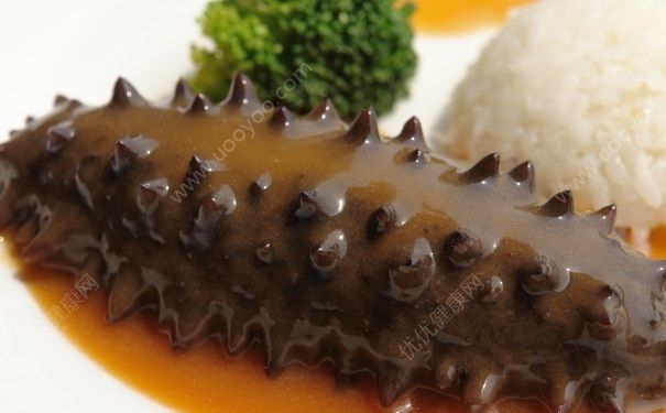 中学生能吃海参吗？中学生吃海参好不好？(3)