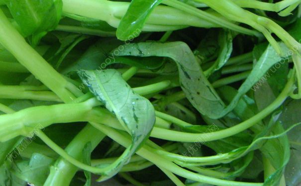 空心菜能和鸡蛋一起吃吗？空心菜可以炒鸡蛋吗？(2)