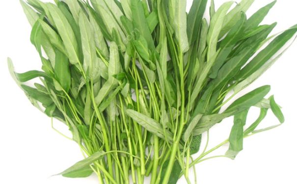 空心菜能多吃吗？空心菜能天天吃吗？(3)