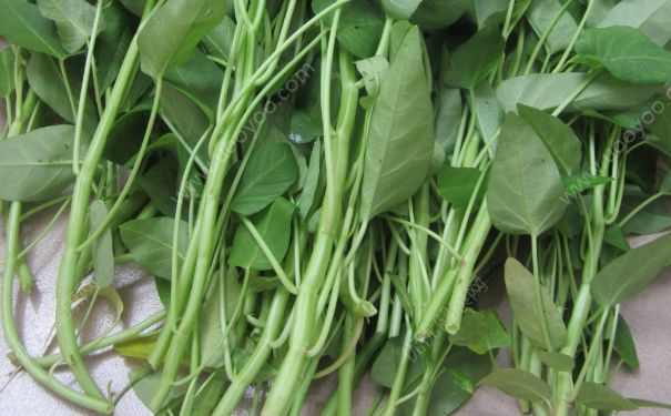 空心菜解药性吗？空心菜是不是解药性？[多图]
