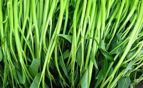 空心菜能多吃吗？空心菜能天天吃吗？(2)