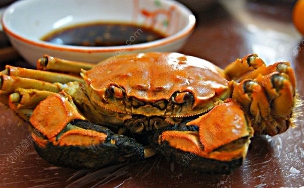 备孕吃螃蟹好吗？备孕可以吃螃蟹吗？(1)
