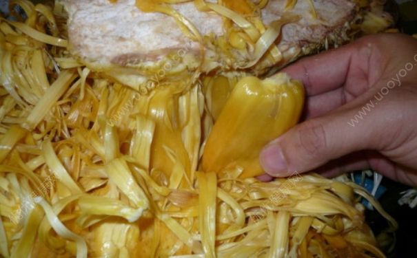 菠萝蜜要用盐水泡吗？菠萝蜜要泡盐水吗？[多图]