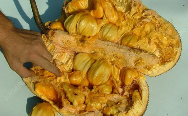 菠萝蜜有臭味吗？菠萝蜜臭了怎么办？[多图]