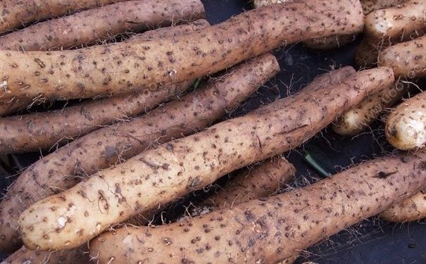 山药为什么让皮肤痒？切完山药后皮肤痒怎么办？[多图]