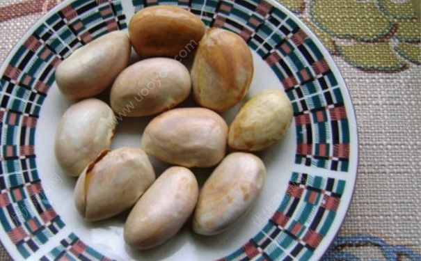菠萝蜜的核能吃吗？菠萝蜜的核怎么吃？(1)