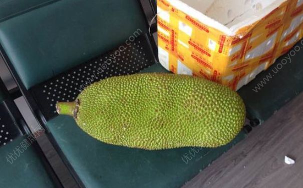 菠萝蜜没熟打开了怎么办？菠萝蜜没熟怎么放熟？(2)