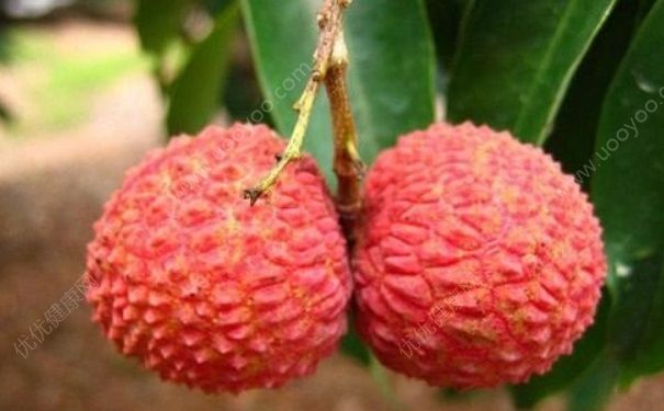 备孕能吃荔枝吗？备孕期间吃荔枝好吗？(4)