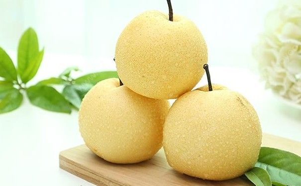 雪梨能和苹果一起炖吗？苹果炖雪梨有什么好处？(3)