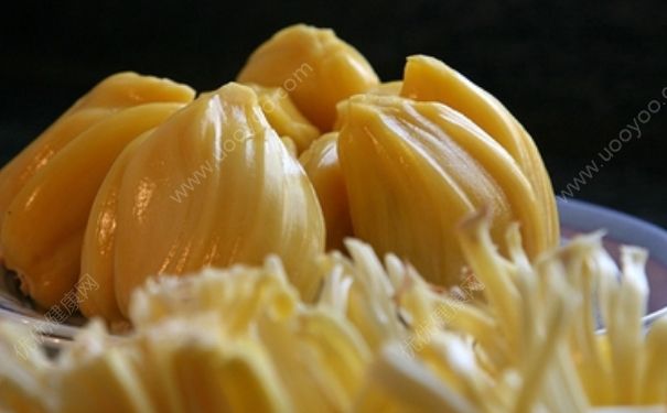 菠萝蜜果肉怎么吃？菠萝蜜果肉怎么保存？(2)