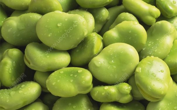 油焖蚕豆怎么做？油焖蚕豆的做法(3)