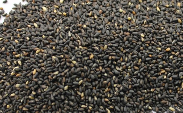 芝麻可以怎么吃？芝麻能做什么吃呢？[多图]