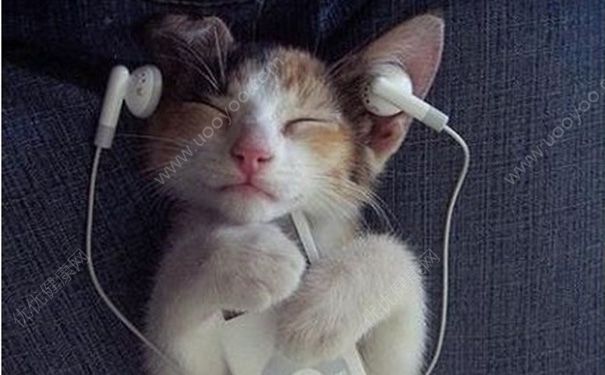 听歌有助于睡眠吗？睡觉听歌有伤害吗？(2)
