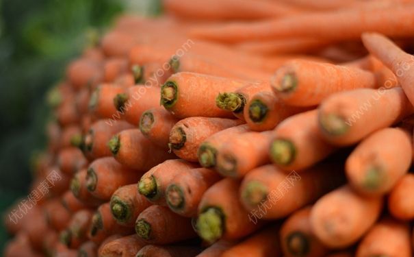 吃胡萝卜会变黑吗？吃胡萝卜皮肤会不会变黑？(1)