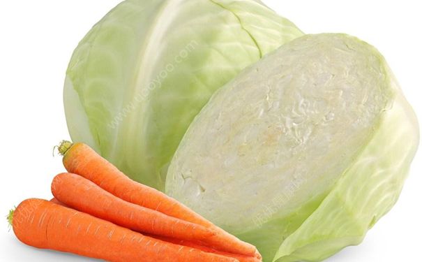 胡萝卜不能和什么一起吃？胡萝卜和什么一起吃好？(2)