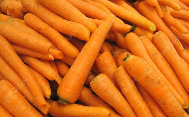 吃胡萝卜会过敏吗？过敏能不能吃胡萝卜？(1)