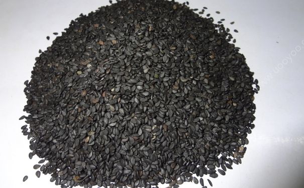 孕妇吃黑芝麻宝宝皮肤会变黑吗？吃黑芝麻会导致宝宝变黑吗？(3)