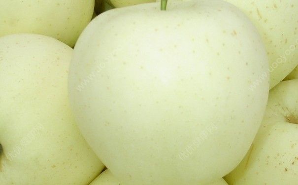 牛油果和雪梨能榨汁吗？牛油果和雪梨榨汁好喝吗？[多图]