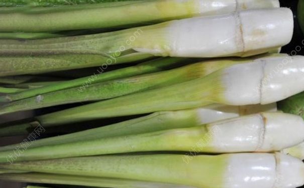 茭白怎么保存？茭白如何保鲜？[多图]