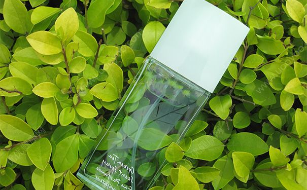 绿茶能敷脸吗？绿茶敷脸的功效与作用(1)