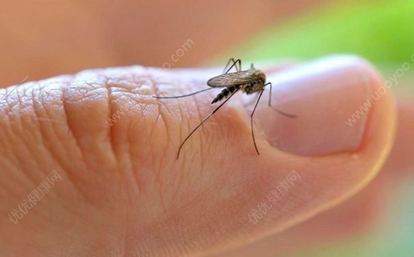 牙膏对蚊虫叮咬有用吗？牙膏有哪些好处？(2)