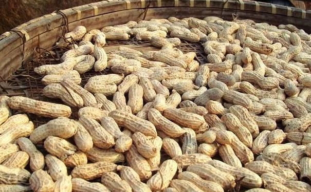 醋泡花生米怎么做？醋泡花生米的做法(2)