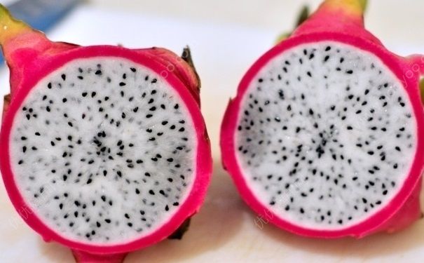 牛油果和火龙果能一起吃吗？牛油果和火龙果怎么吃比较好？(2)