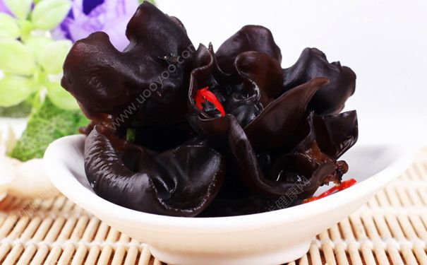 宝宝能吃木耳吗？宝宝吃黑木耳好吗？(3)