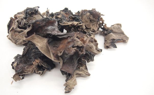 生木耳能吃吗？生的木耳有毒吗？(2)
