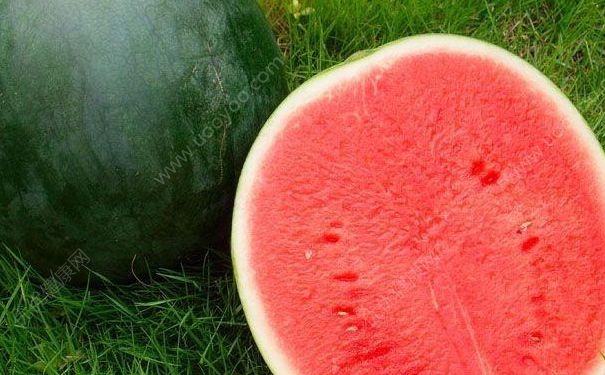 熬夜吃什么对皮肤好？熬夜皮肤不好怎么改善？(4)