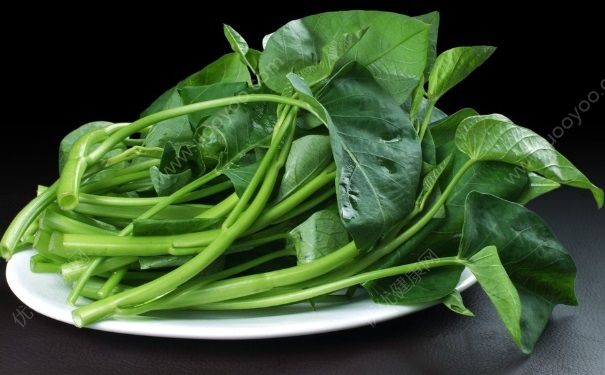 吃空心菜的坏处有哪些？吃空心菜的禁忌(1)