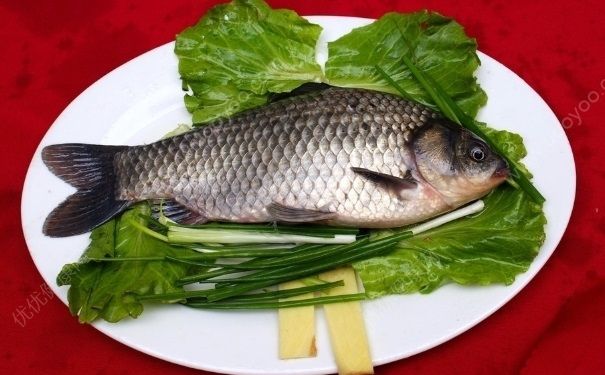 鱼和豆腐怎么做好吃？鱼和豆腐能一起吃吗？(3)