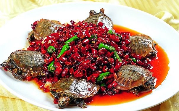 芹菜与甲鱼能一起吃吗？芹菜和甲鱼同食好不好？(3)