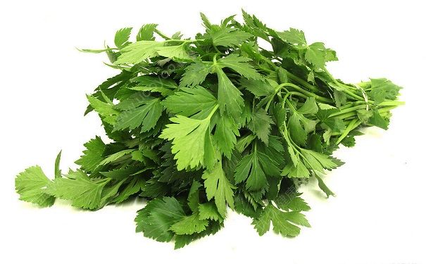 芹菜属于热性还是凉性？吃芹菜要注意什么？(2)