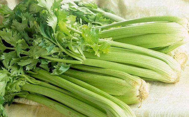 芹菜属于热性还是凉性？吃芹菜要注意什么？(1)