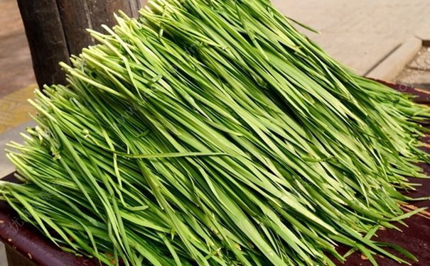 韭菜不能和什么一起吃？韭菜和什么一起吃好？(1)