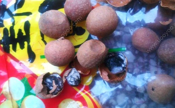 桂圆会过期吗？桂圆干有保质期吗？(4)