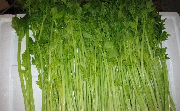 芹菜是那个季节的？芹菜哪个季节吃最好？(2)