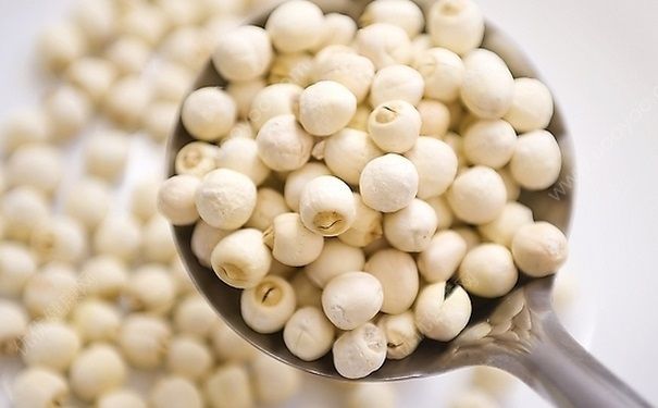 吃莲子会回奶吗？产妇可以吃莲子吗？[多图]