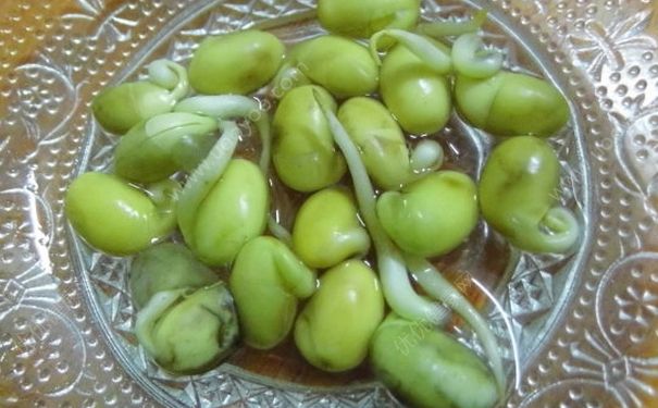 黄豆变绿了还能吃吗？黄豆变绿能打豆浆吗？(4)